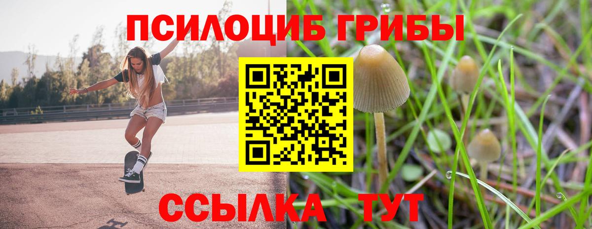 Псилоцибиновые грибы MAGIC MUSHROOMS  Вход с VPN  Касимов 